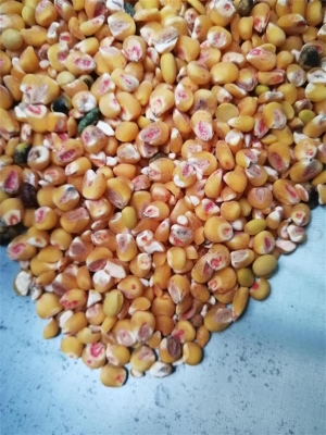 去色欲久久综合亚洲精品蜜桃藥種子包衣外皮去皮機