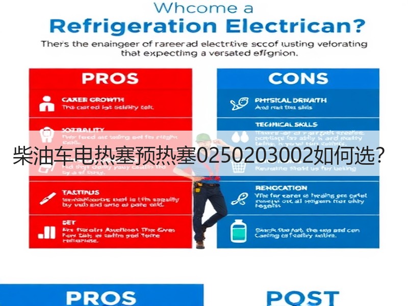 柴油车电热塞预热塞0250203002如何选? 柴油车电热塞预热塞0250203002如何选?