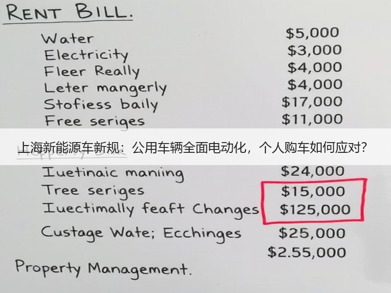 上海新能源车新规：公用车辆全面电动化，个人购车如何应对？