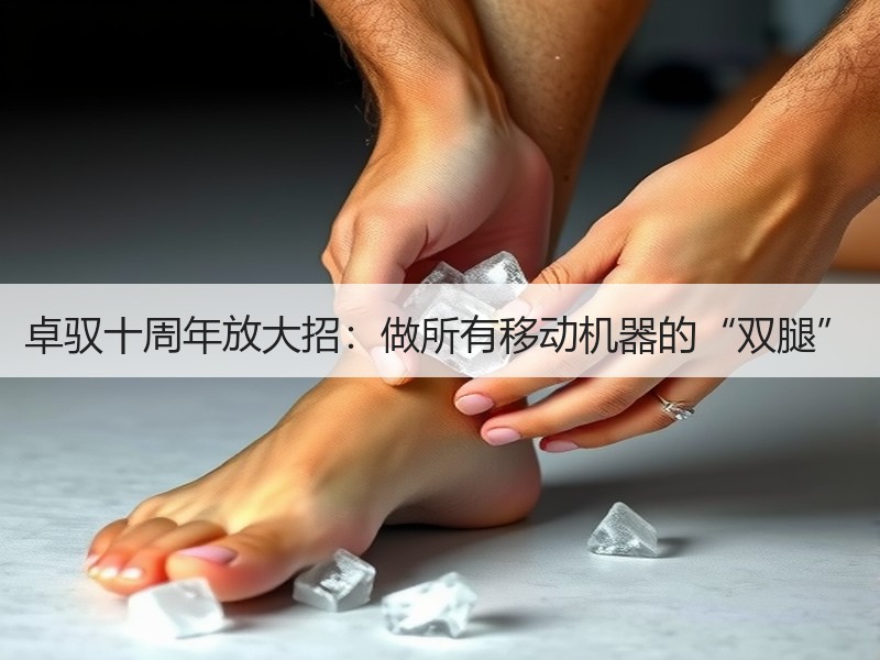 卓驭十周年放大招:做所有移动机器的“双腿” 卓驭十周年放大招:做所有移动机器的“双腿”