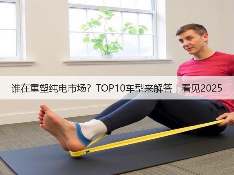 谁在重塑纯电市场？TOP10车型来解答｜看见2025