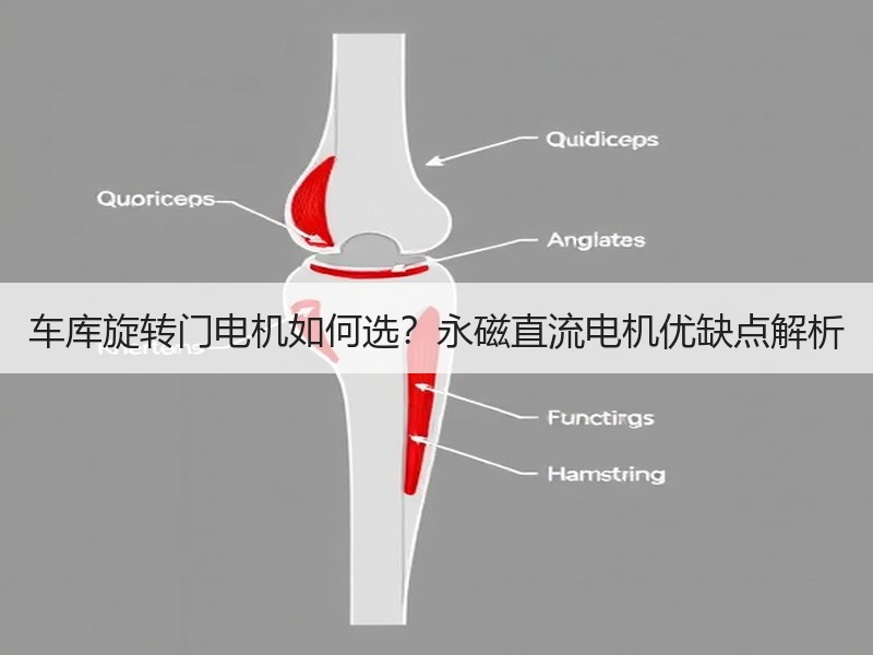 车库旋转门电机如何选？永磁直流电机优缺点解析
