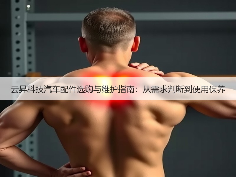 云昇科技汽车配件选购与维护指南：从需求判