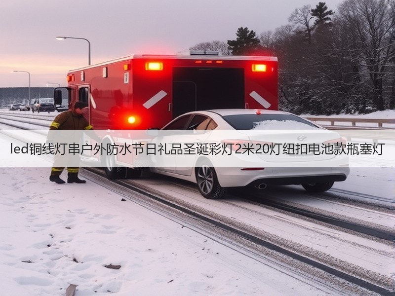 led铜线灯串户外防水节日礼品圣诞彩灯2米20灯纽扣电池款瓶塞灯