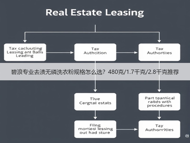碧浪专业去渍无磷洗衣粉规格怎么选?480克/1.7千克/2.8千克推荐 碧浪专业去渍无磷洗衣粉规格怎么选?480克/1.7千克/2.8千克推荐