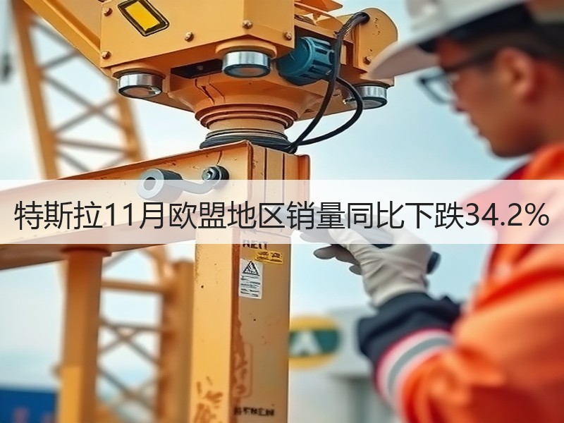 特斯拉11月欧盟地区销量同比下跌34.2% 特斯拉11月欧盟地区销量同比下跌34.2%