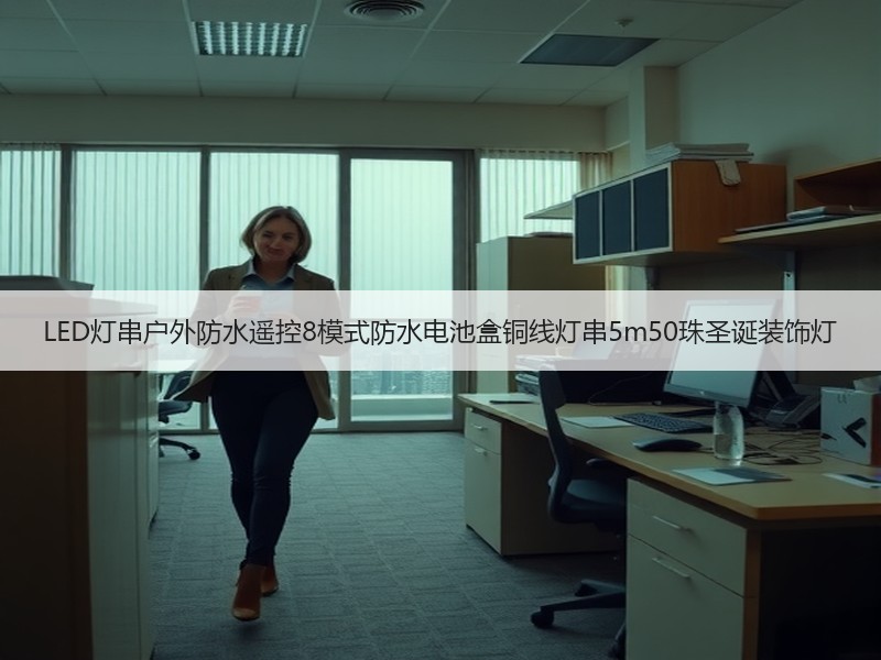 LED灯串户外防水遥控8模式防水电池盒铜线灯串5m50珠圣诞装饰灯