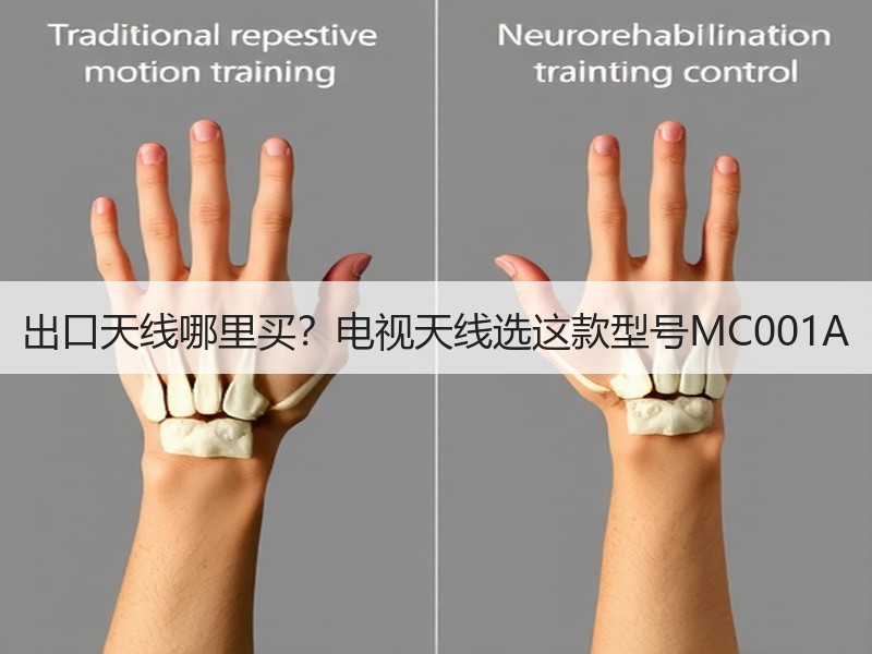 出口天线哪里买？电视天线选这款型号MC001A