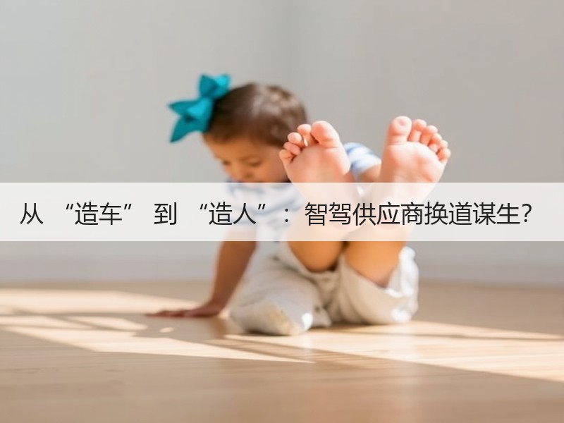 从 “造车” 到 “造人”：智驾供应商换道谋生？