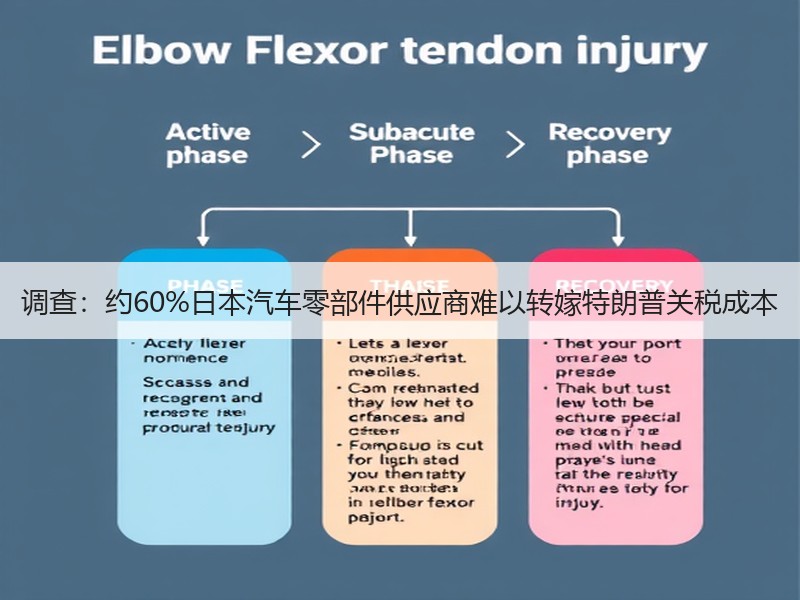 调查：约60%日本汽车零部件供应商难以转嫁特朗普关税成本