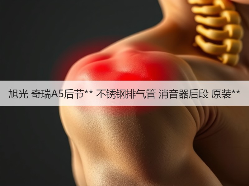 旭光 奇瑞A5后节** 不锈钢排气管 消音器后段 原装**