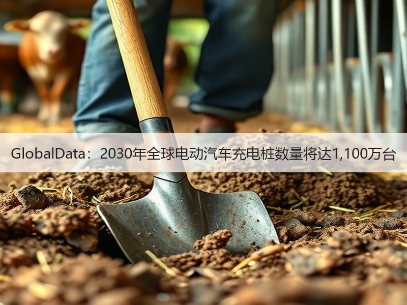 GlobalData:2030年全球电动汽车充电桩数量将达1,100万台 GlobalData:2030年全球电动汽车充电桩数量将达1,100万台