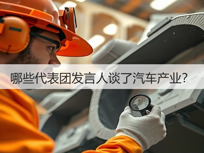 哪些代表团发言人谈了汽车产业？