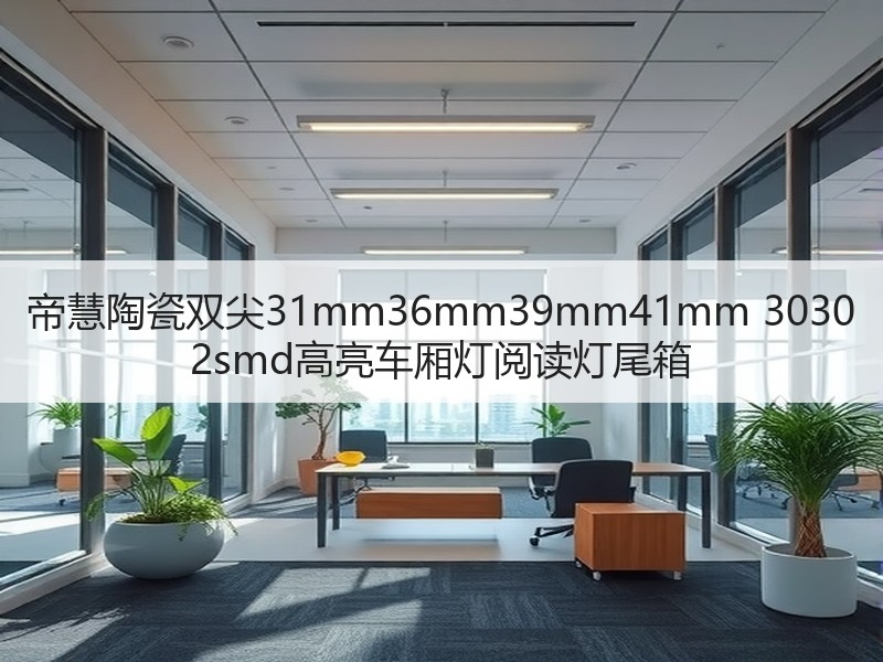 帝慧陶瓷双尖31mm36mm39mm41mm 3030 2smd高亮车厢灯阅读灯尾箱 帝慧陶瓷双尖31mm36mm39mm41mm 3030 2smd高亮车厢灯阅读灯尾箱