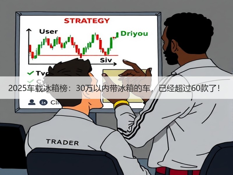 2025车载冰箱榜：30万以内带冰箱的车，已经超过60款了！