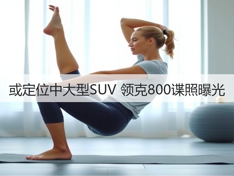 或定位中大型SUV 领克800谍照曝光