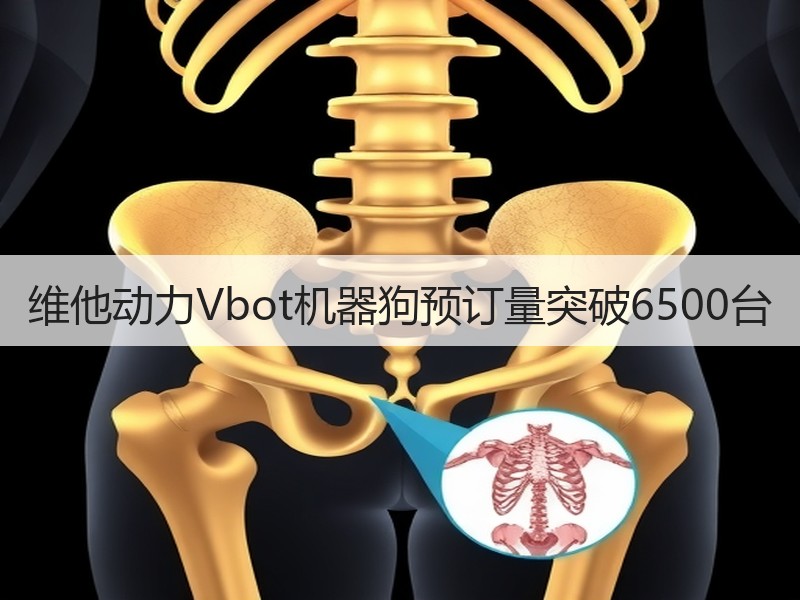 维他动力Vbot机器狗预订量突破6500台 维他动力Vbot机器狗预订量突破6500台