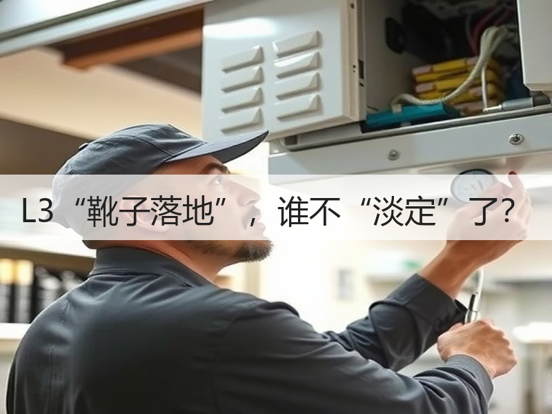 L3“靴子落地”,谁不“淡定”了? L3“靴子落地”,谁不“淡定”了?