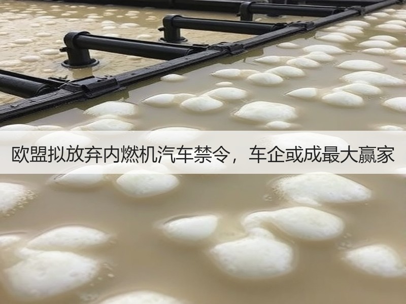 欧盟拟放弃内燃机汽车禁令,车企或成最大赢家 欧盟拟放弃内燃机汽车禁令,车企或成最大赢家