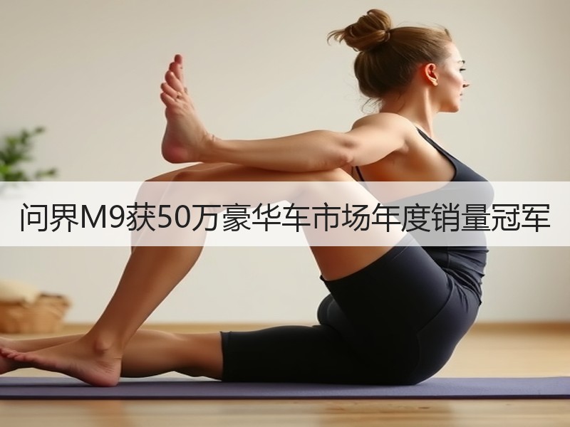 问界M9获50万豪华车市场年度销量冠军