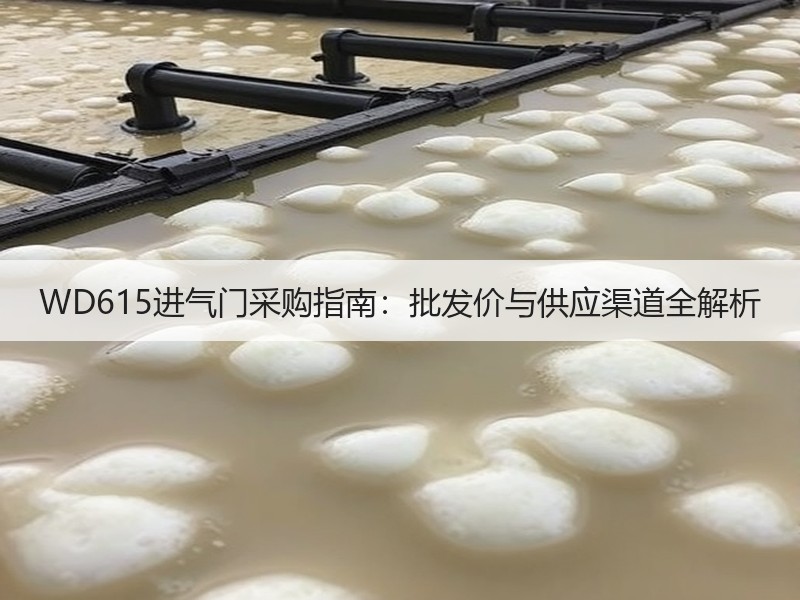 WD615进气门采购指南：批发价与供应渠道全解析