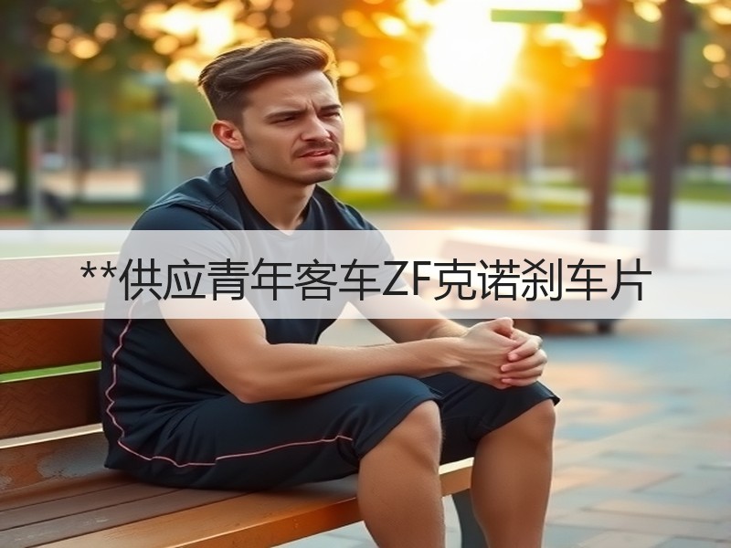 **供应青年客车ZF克诺刹车片