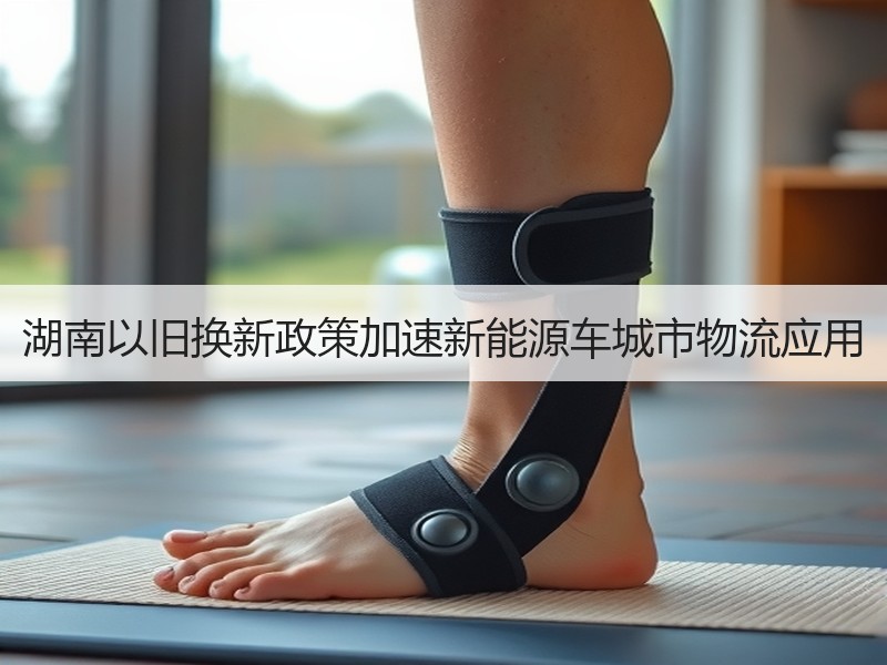 湖南以旧换新政策加速新能源车城市物流应用