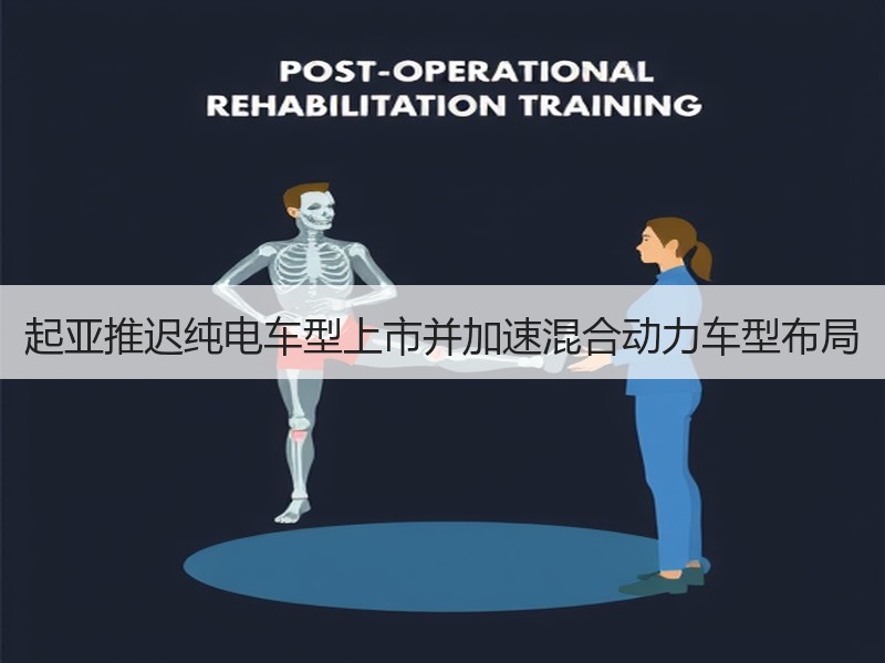 起亚推迟纯电车型上市并加速混合动力车型布局 起亚推迟纯电车型上市并加速混合动力车型布局