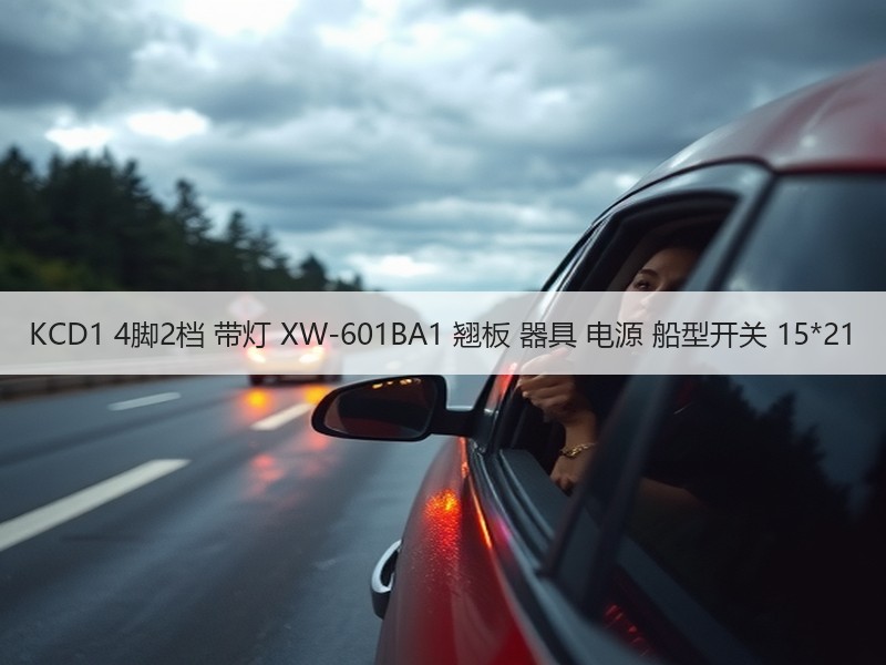 KCD1 4脚2档 带灯 XW-601BA1 翘板 器具 电源 船型开关 15*21 KCD1 4脚2档 带灯 XW-601BA1 翘板 器具 电源 船型开关 15*21