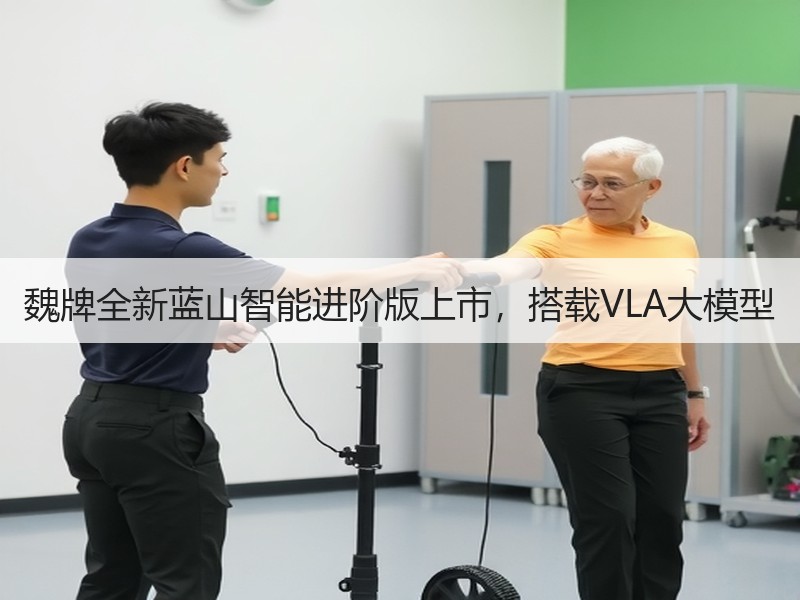魏牌全新蓝山智能进阶版上市,搭载VLA大模型 魏牌全新蓝山智能进阶版上市,搭载VLA大模型