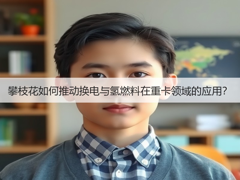 攀枝花如何推动换电与氢燃料在重卡领域的应用? 攀枝花如何推动换电与氢燃料在重卡领域的应用?