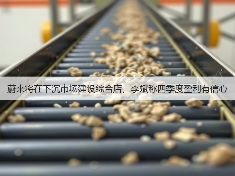 蔚来将在下沉市场建设综合店,李斌称四季度盈利有信心 蔚来将在下沉市场建设综合店,李斌称四季度盈利有信心