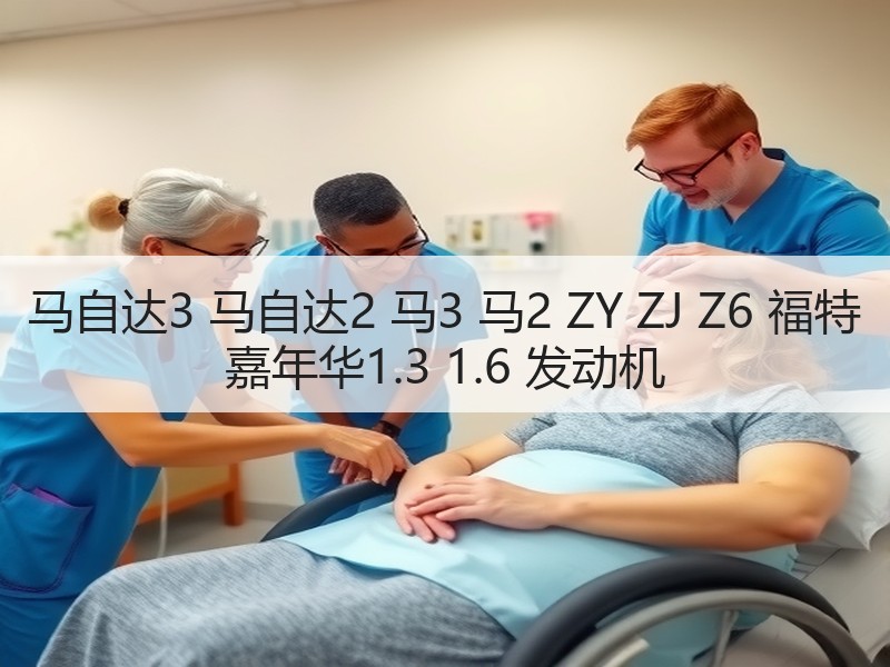 马自达3 马自达2 马3 马2 ZY ZJ Z6 福特 嘉年华1.3 1.6 发动机