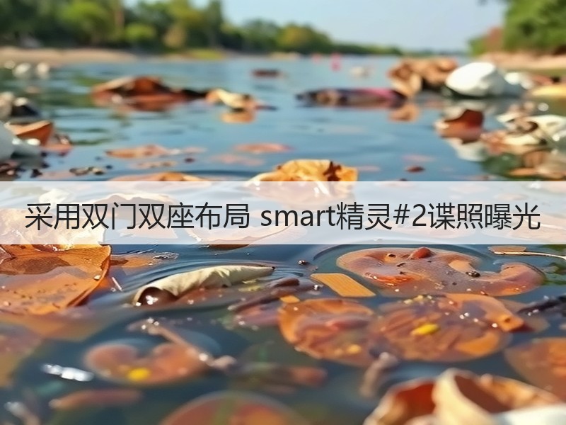 采用双门双座布局 smart精灵#2谍照曝光 采用双门双座布局 smart精灵#2谍照曝光