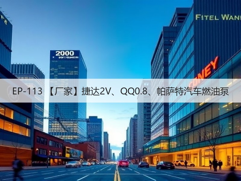 EP-113 【厂家】捷达2V、QQ0.8、帕萨特汽车燃油泵 EP-113 【厂家】捷达2V、QQ0.8、帕萨特汽车燃油泵