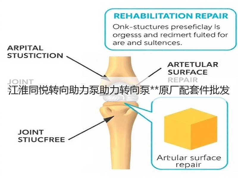 江淮同悦转向助力泵助力转向泵**原厂配套件批发 江淮同悦转向助力泵助力转向泵**原厂配套件批发