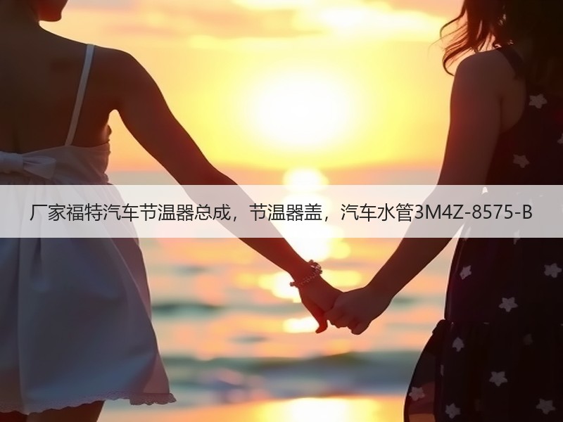 厂家福特汽车节温器总成,节温器盖,汽车水管3M4Z-8575-B 厂家福特汽车节温器总成,节温器盖,汽车水管3M4Z-8575-B