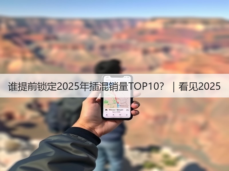 谁提前锁定2025年插混销量TOP10？｜看见2025