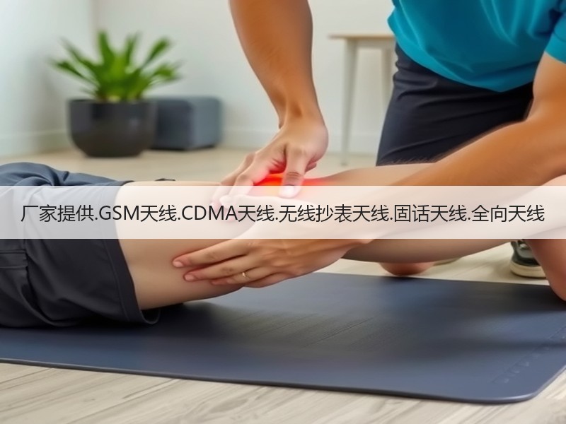 厂家提供.GSM天线.CDMA天线.无线抄表天线.固话天线.全向天线