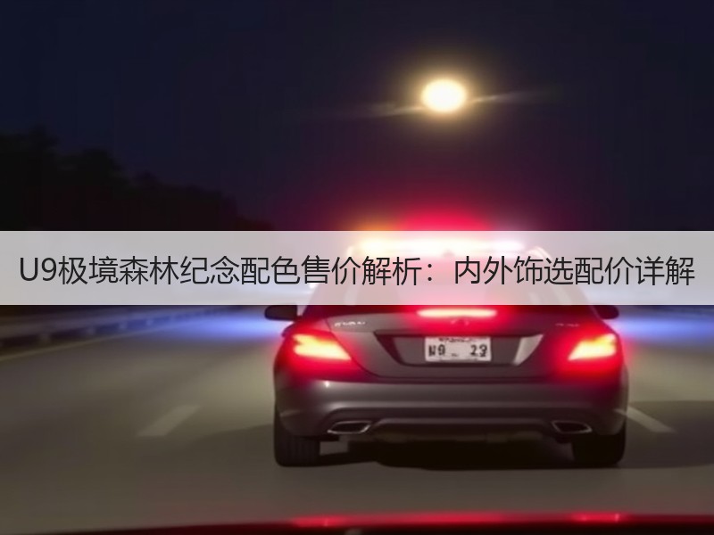 U9极境森林纪念配色售价解析:内外饰选配价详解 U9极境森林纪念配色售价解析:内外饰选配价详解