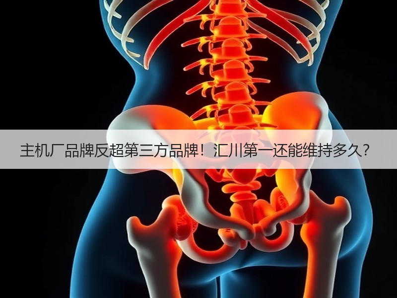 主机厂品牌反超第三方品牌！汇川第一还能维持多久？